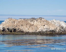 洛杉矶沙滩小姐姐,邂逅阳光与时尚的美丽小姐姐